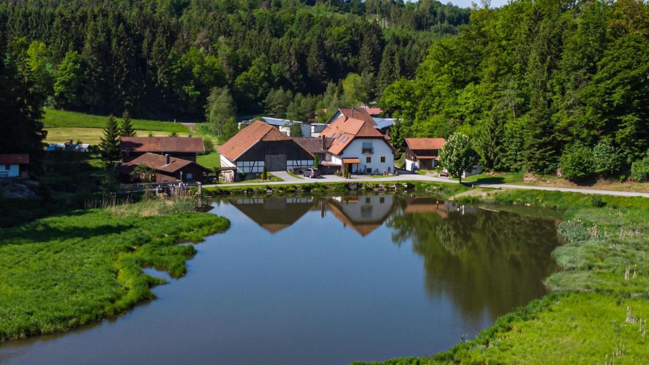 Naturidyll Kollnbergmuehle Fürstenstein Exteriér fotografie