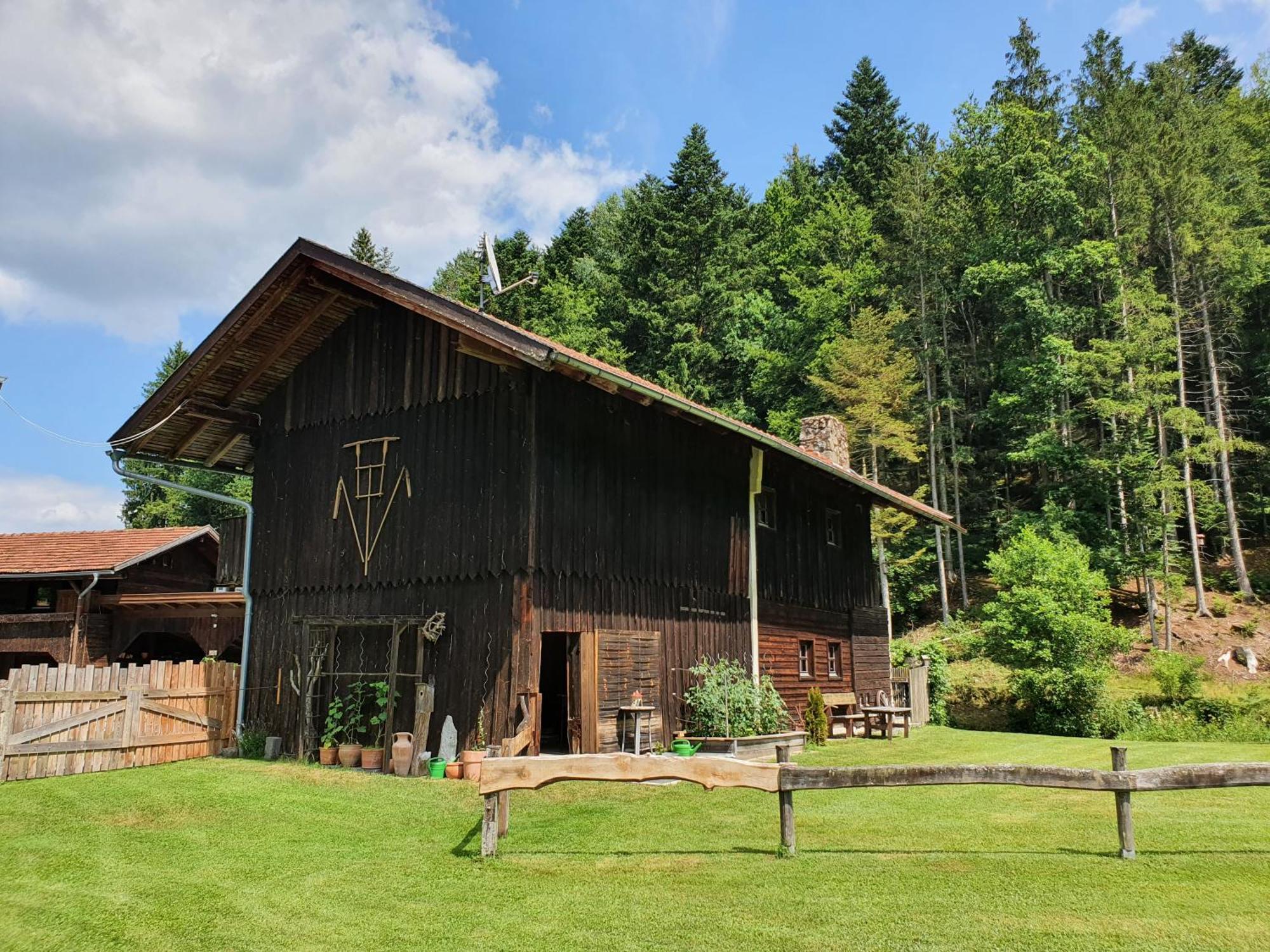 Naturidyll Kollnbergmuehle Fürstenstein Exteriér fotografie